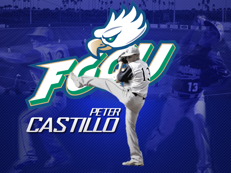 You are currently viewing Castillo to Florida Gulf Coast