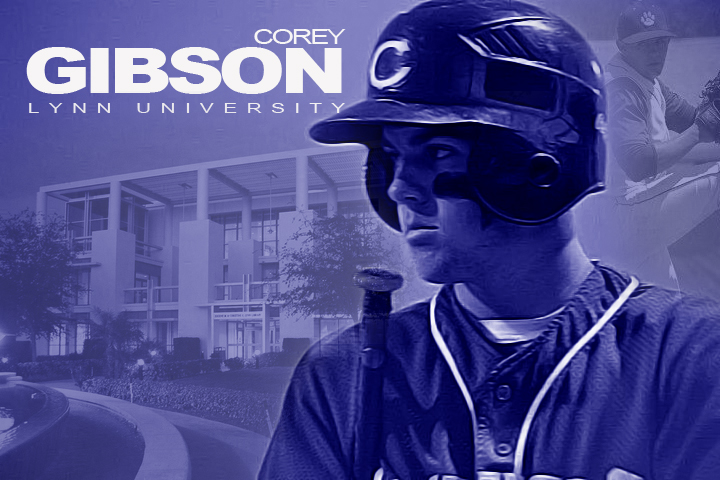 Gibson to Lynn University