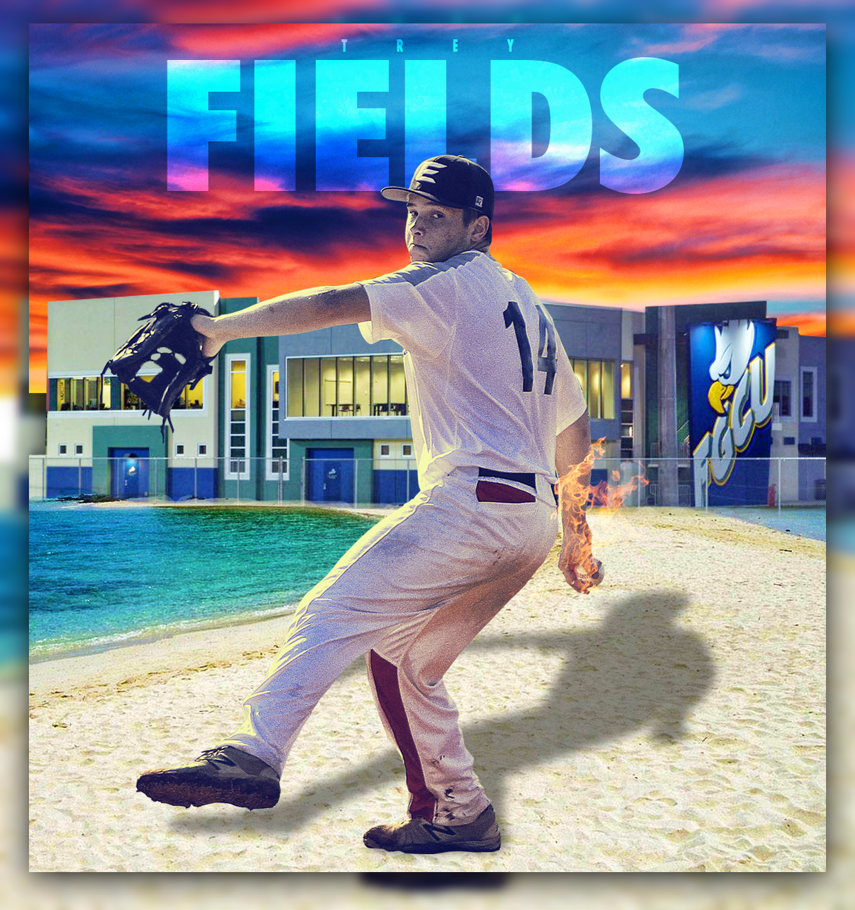 Fields to Florida Gulf Coast!